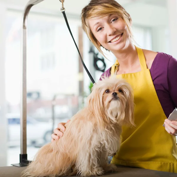 Curso Peluquería y Estética Canina en León