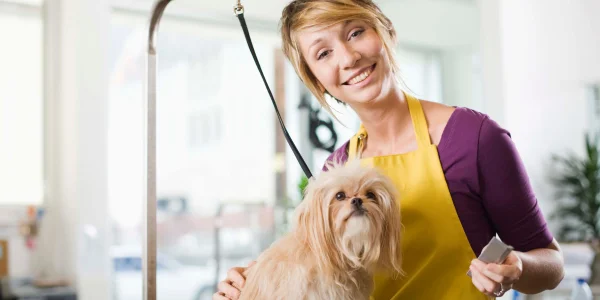 Curso de Peluquería Canina en León