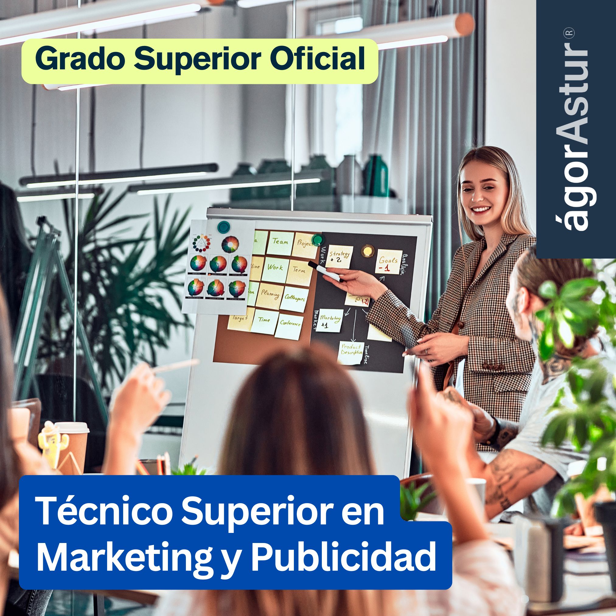 Técnico Superior en Publicidad y Marketing